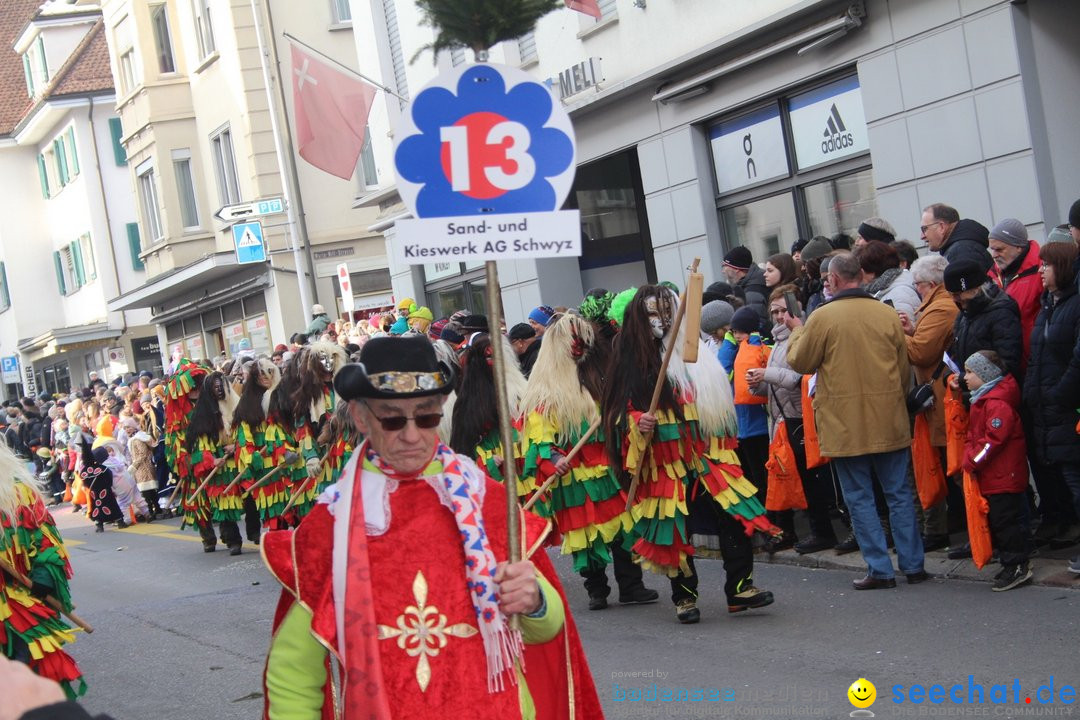 Fasnetsumzug - Schwyz am Bodensee, 29.01.2023