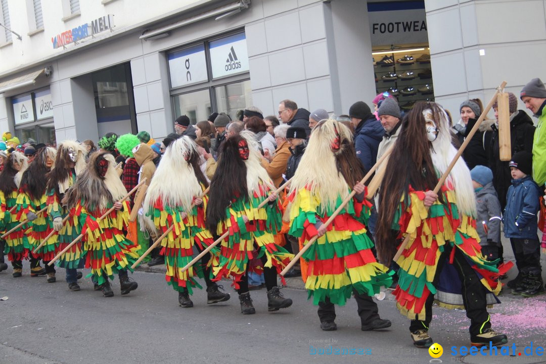 Fasnetsumzug - Schwyz am Bodensee, 29.01.2023