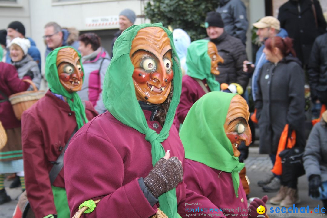 Fasnetsumzug - Schwyz am Bodensee, 29.01.2023