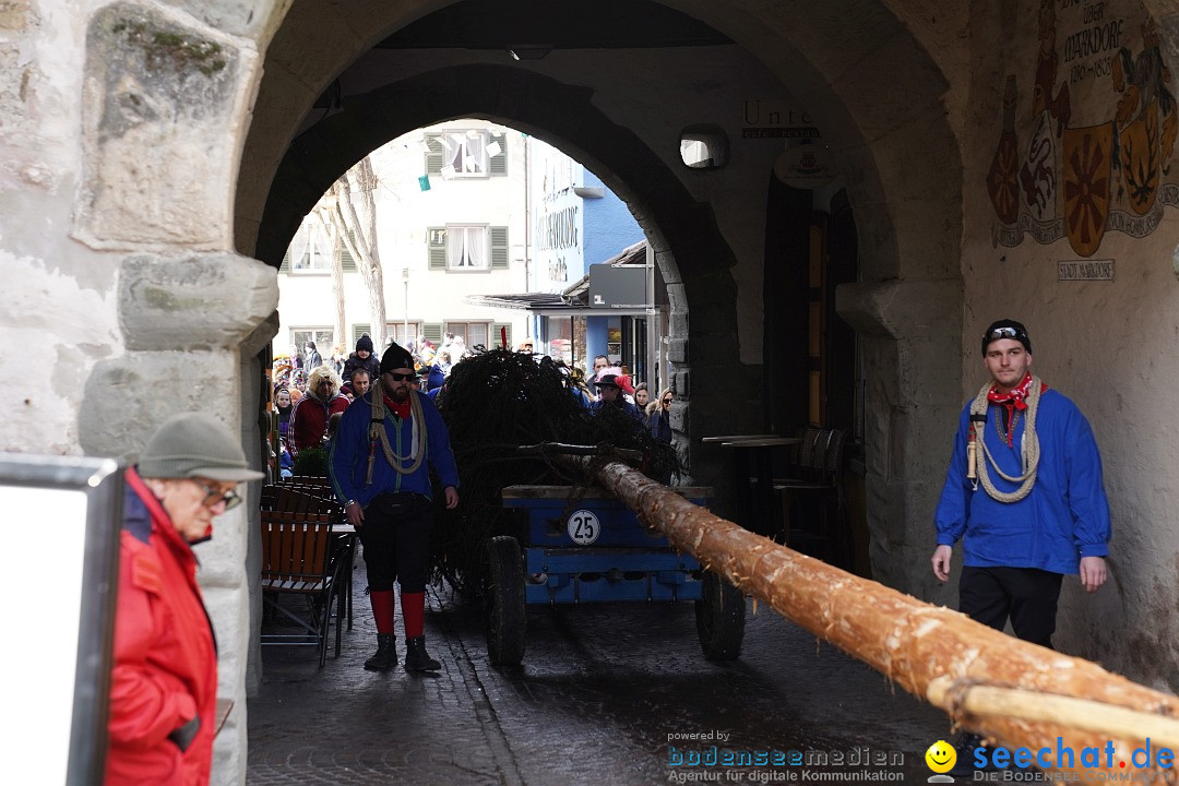 Narrenbaumstellen: Markdorf am Bodensee, 11.02.2023