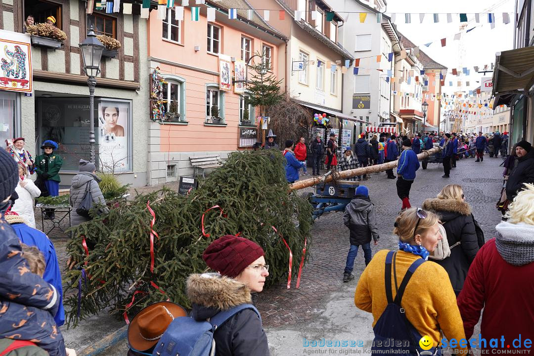 Narrenbaumstellen: Markdorf am Bodensee, 11.02.2023