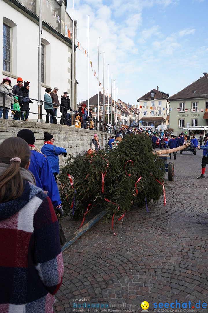 Narrenbaumstellen: Markdorf am Bodensee, 11.02.2023