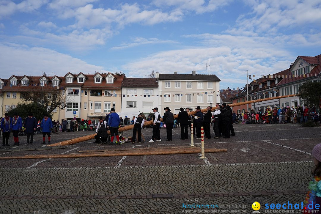 Narrenbaumstellen: Markdorf am Bodensee, 11.02.2023