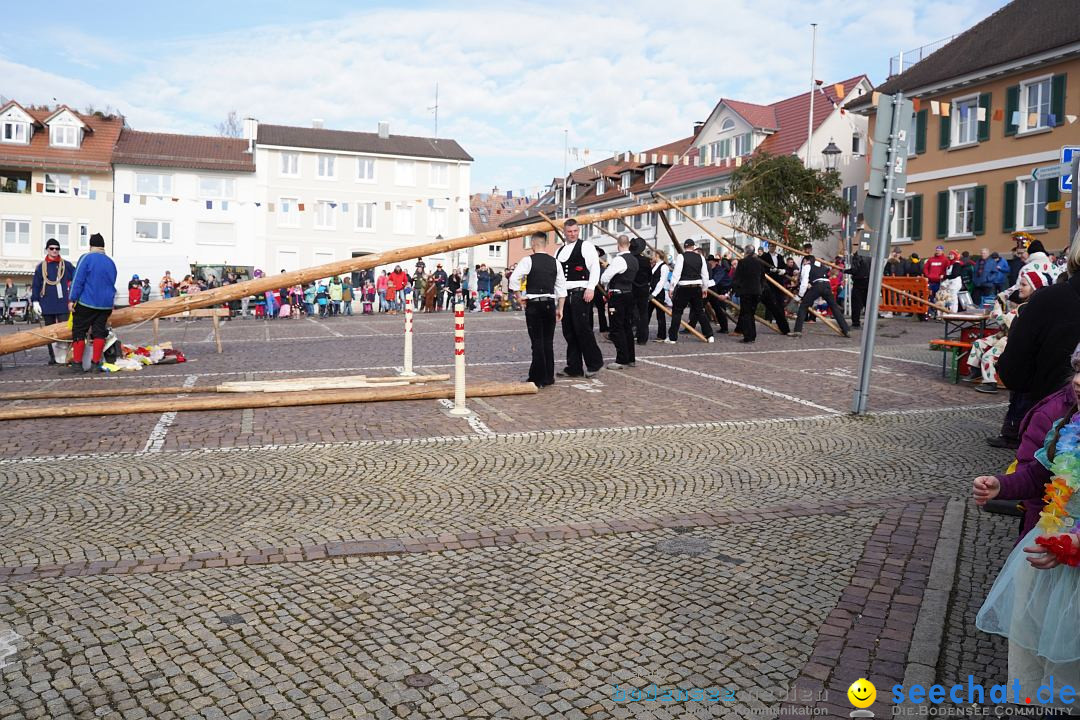 Narrenbaumstellen: Markdorf am Bodensee, 11.02.2023