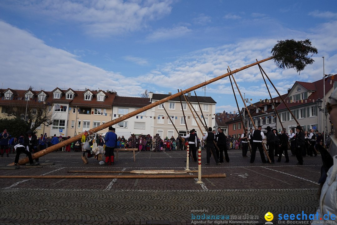 Narrenbaumstellen: Markdorf am Bodensee, 11.02.2023