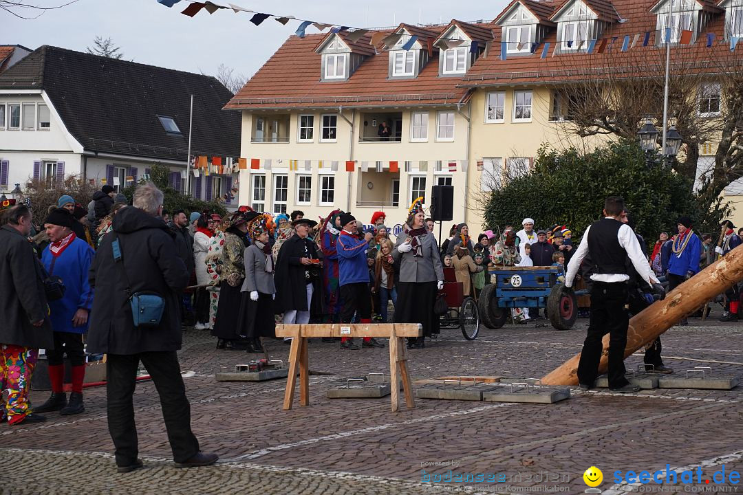 Narrenbaumstellen: Markdorf am Bodensee, 11.02.2023