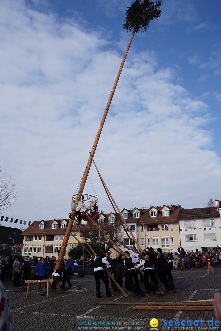 Narrenbaumstellen: Markdorf am Bodensee, 11.02.2023