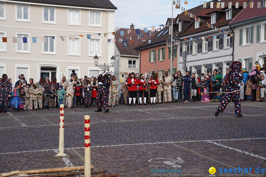 Narrenbaumstellen: Markdorf am Bodensee, 11.02.2023