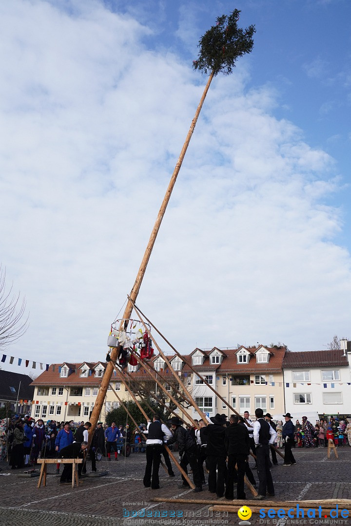 Narrenbaumstellen: Markdorf am Bodensee, 11.02.2023