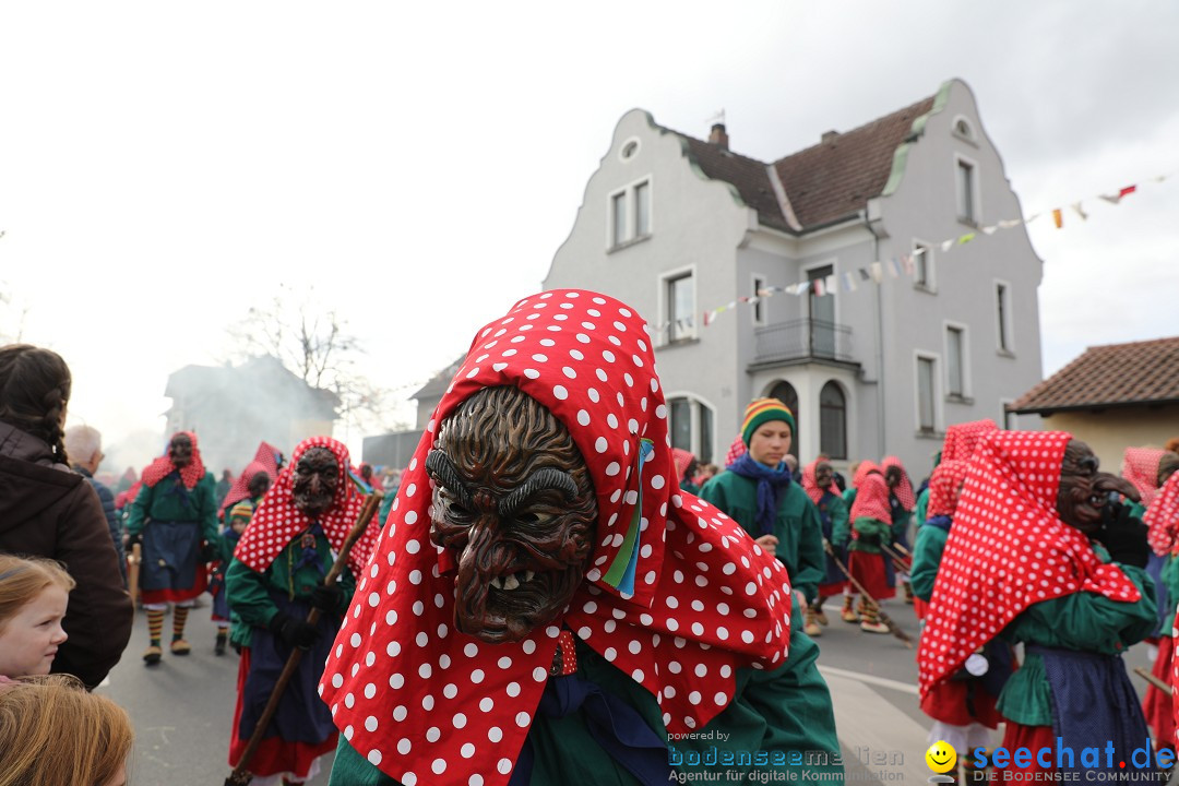 Narrensprung - Fasnetsumzug 2023: Baienfurt, 18.02.2023