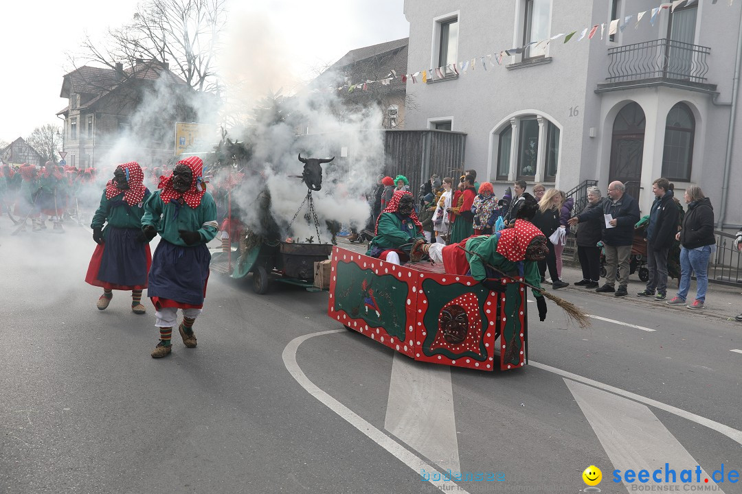 Narrensprung - Fasnetsumzug 2023: Baienfurt, 18.02.2023