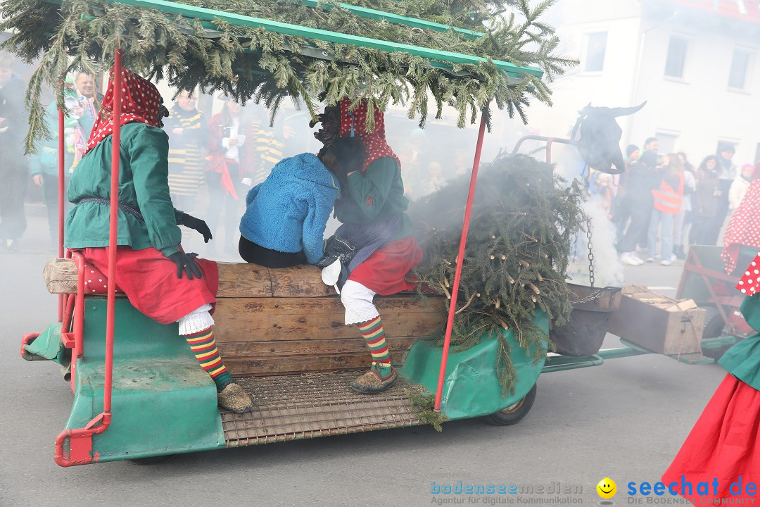 Narrensprung - Fasnetsumzug 2023: Baienfurt, 18.02.2023