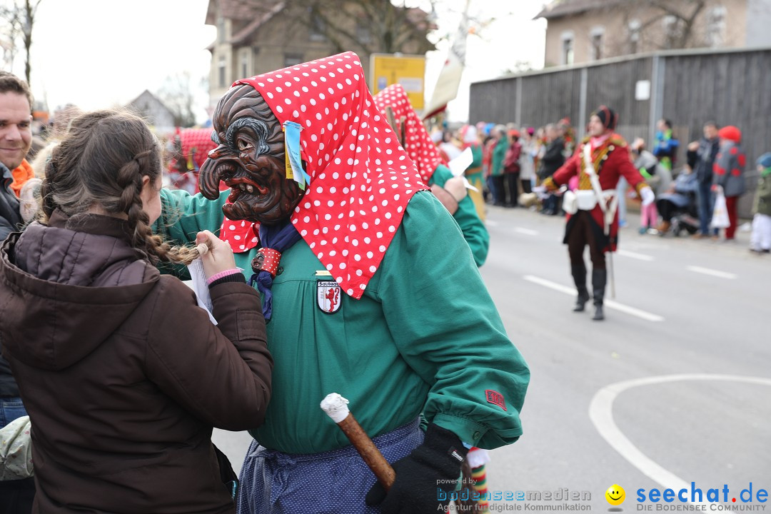 Narrensprung - Fasnetsumzug 2023: Baienfurt, 18.02.2023