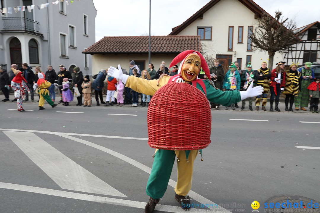 Narrensprung - Fasnetsumzug 2023: Baienfurt, 18.02.2023