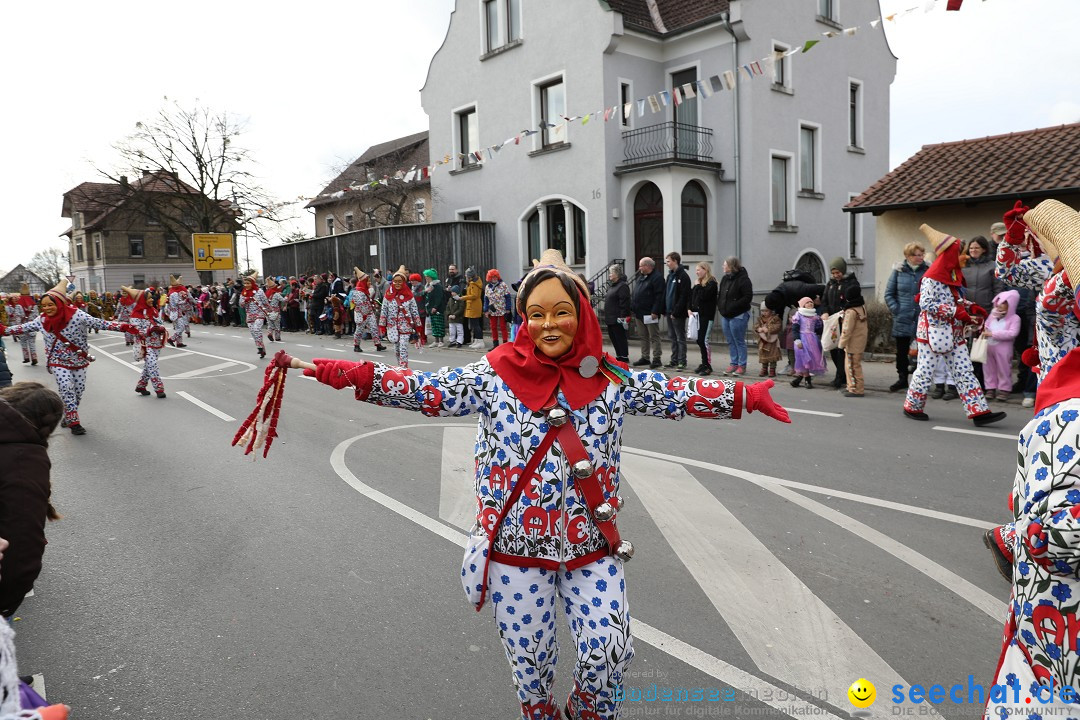 Narrensprung - Fasnetsumzug 2023: Baienfurt, 18.02.2023