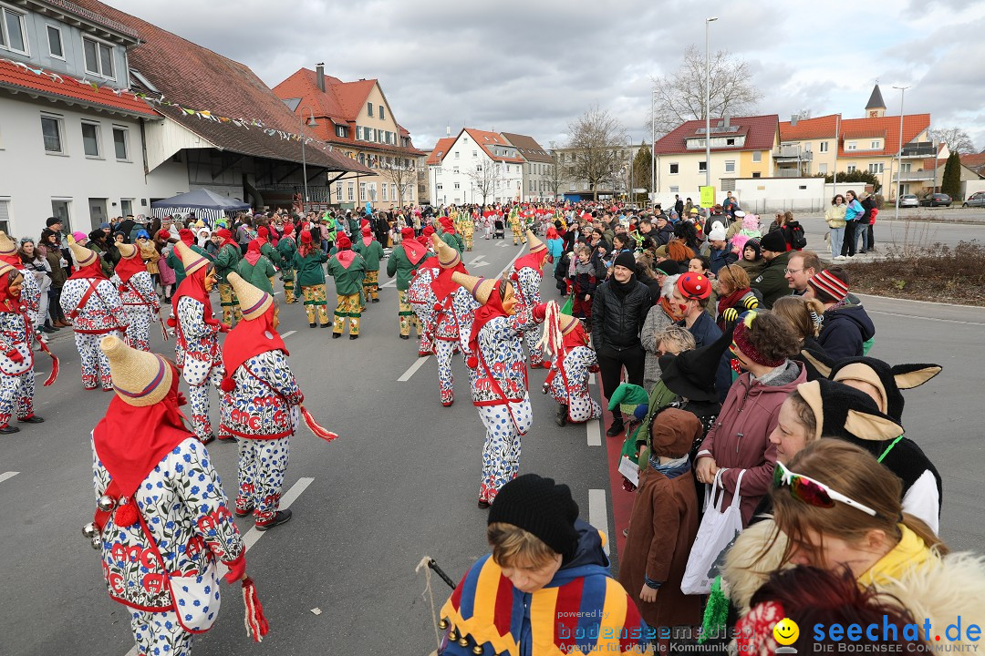 Narrensprung - Fasnetsumzug 2023: Baienfurt, 18.02.2023