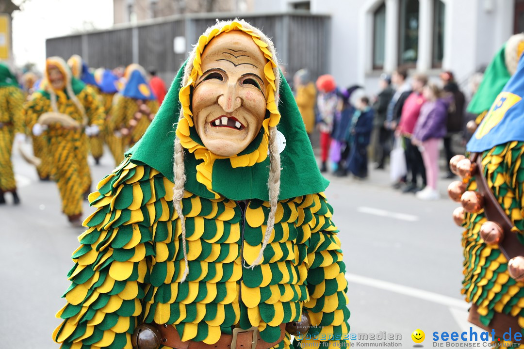 Narrensprung - Fasnetsumzug 2023: Baienfurt, 18.02.2023