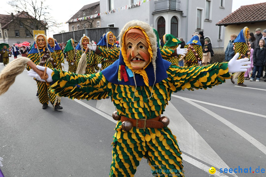 Narrensprung - Fasnetsumzug 2023: Baienfurt, 18.02.2023