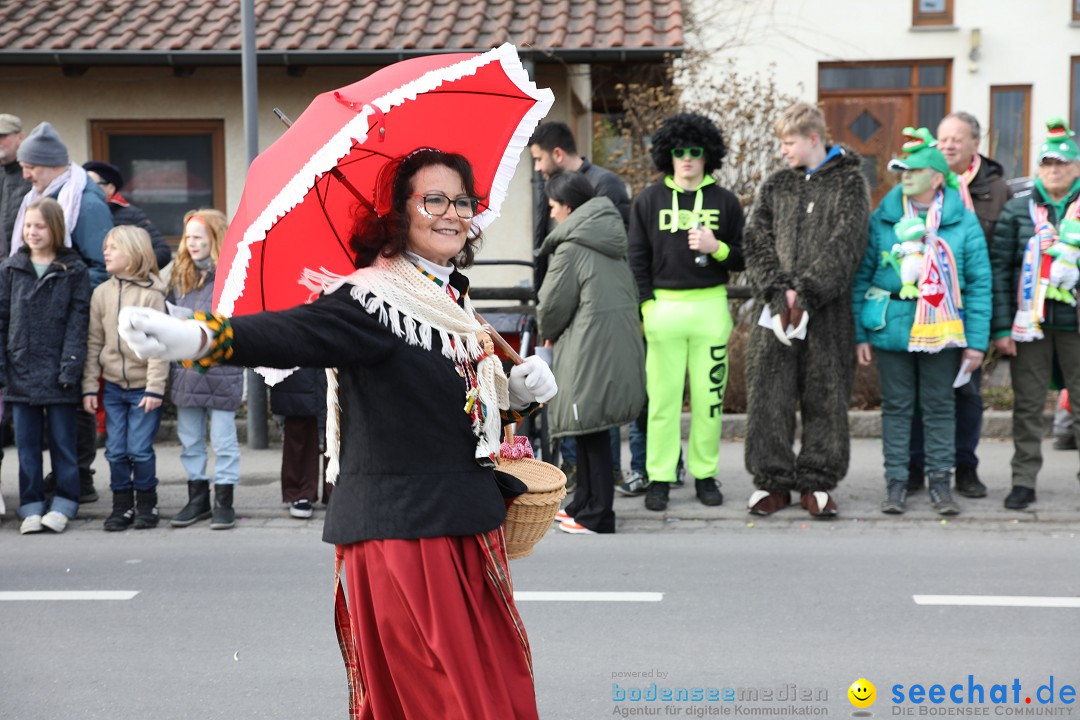 Narrensprung - Fasnetsumzug 2023: Baienfurt, 18.02.2023