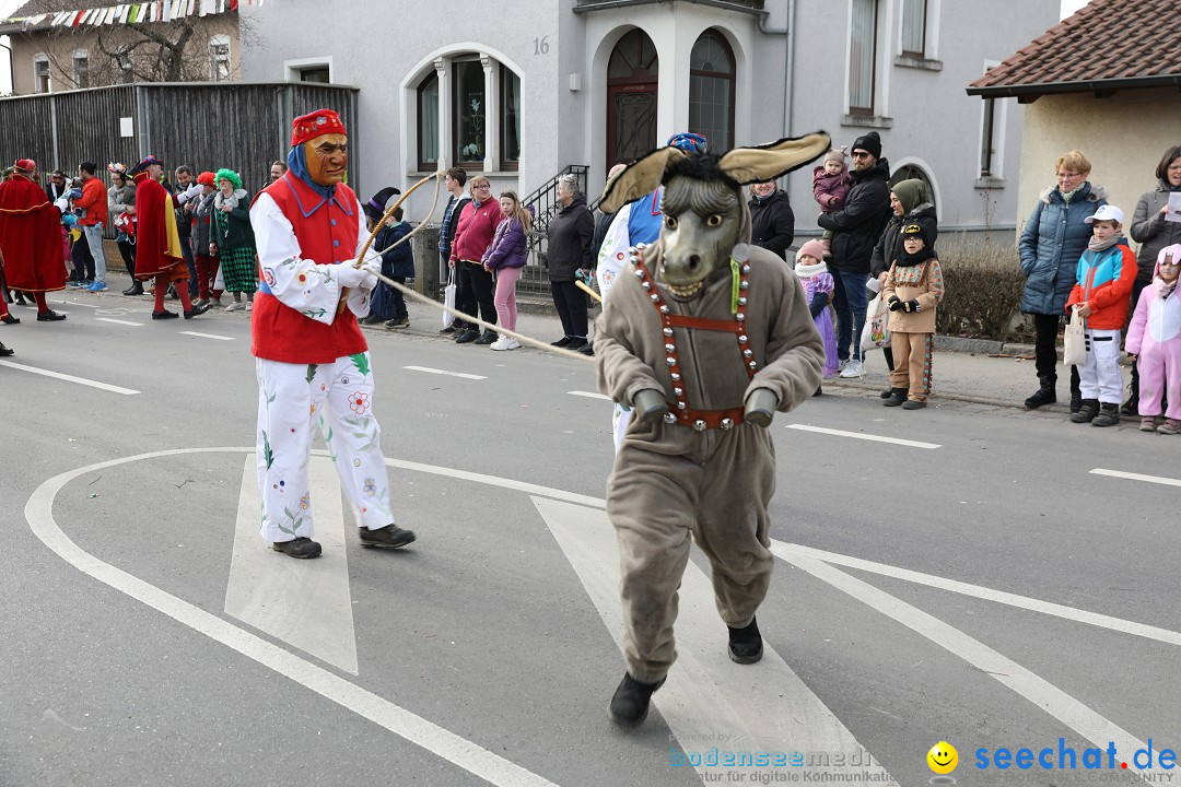 Narrensprung - Fasnetsumzug 2023: Baienfurt, 18.02.2023