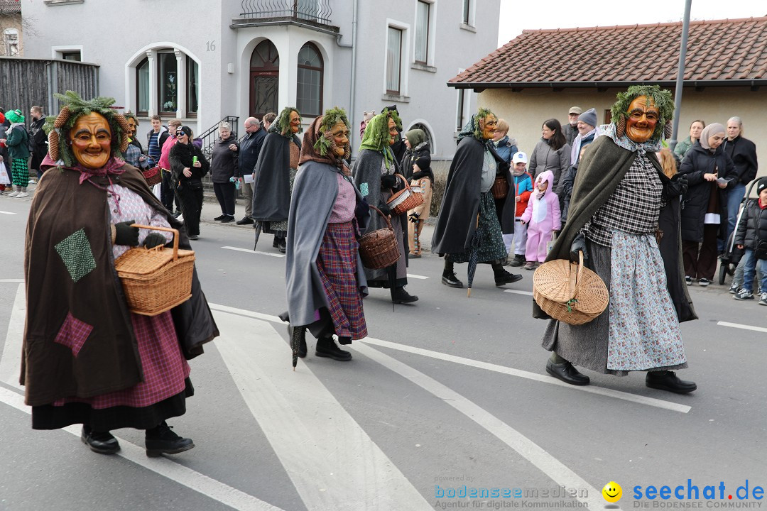 Narrensprung - Fasnetsumzug 2023: Baienfurt, 18.02.2023