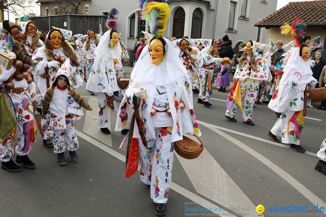 Narrensprung - Fasnetsumzug 2023: Baienfurt, 18.02.2023