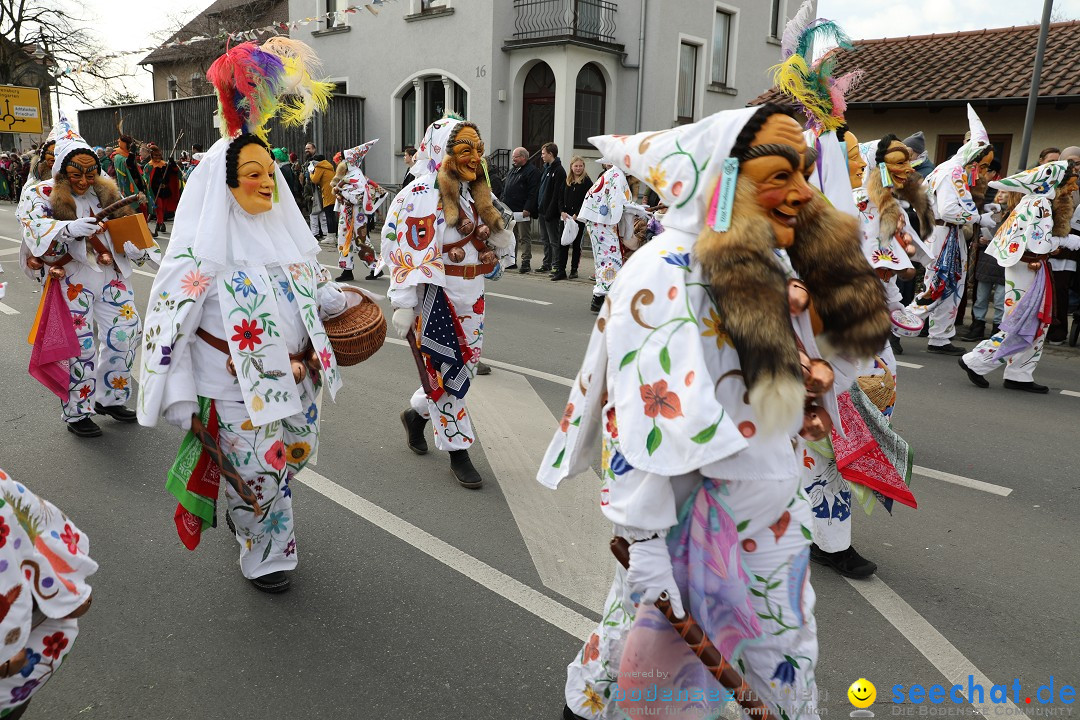 Narrensprung - Fasnetsumzug 2023: Baienfurt, 18.02.2023