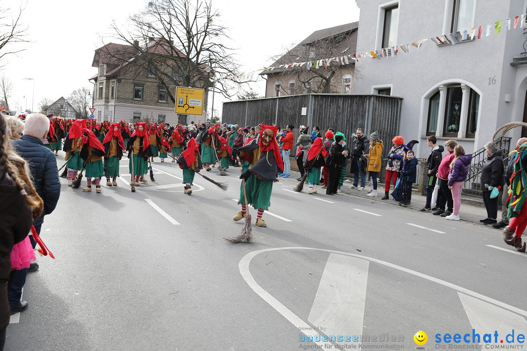 Narrensprung - Fasnetsumzug 2023: Baienfurt, 18.02.2023