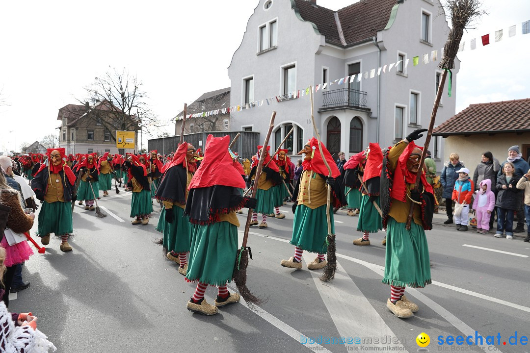 Narrensprung - Fasnetsumzug 2023: Baienfurt, 18.02.2023