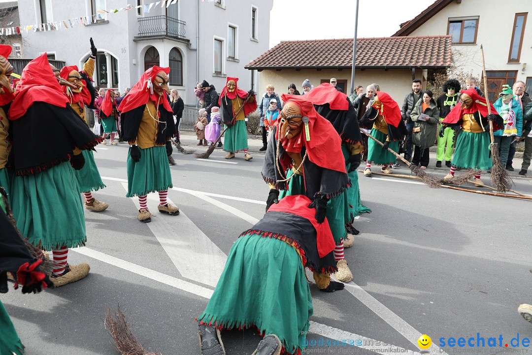 Narrensprung - Fasnetsumzug 2023: Baienfurt, 18.02.2023