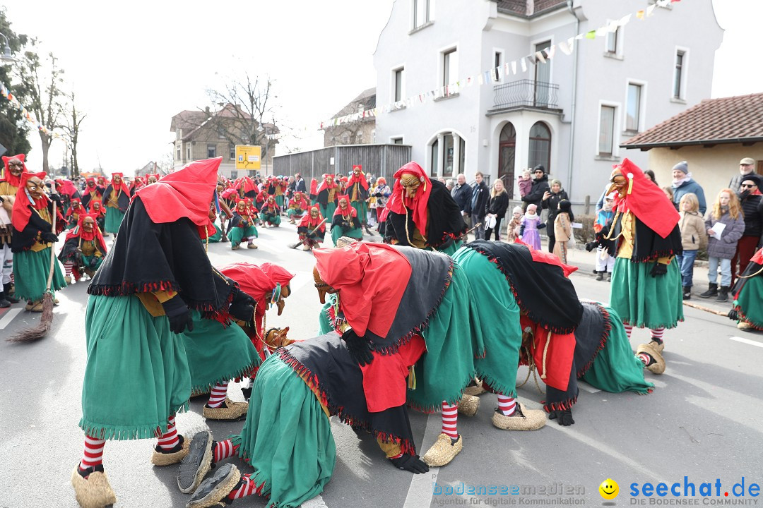 Narrensprung - Fasnetsumzug 2023: Baienfurt, 18.02.2023