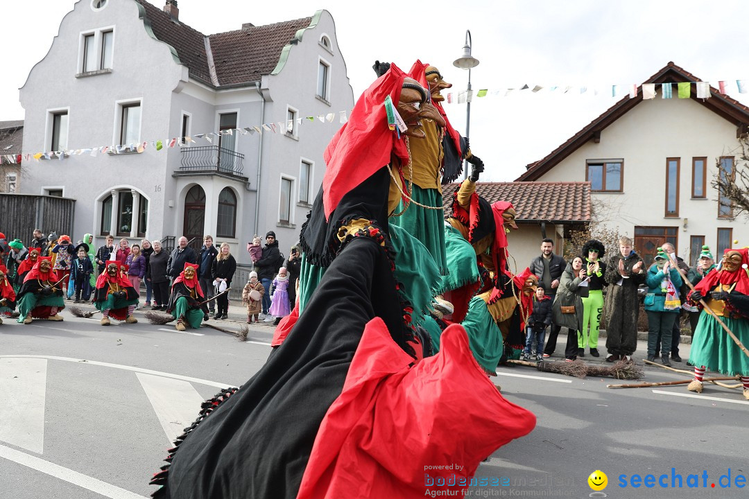 Narrensprung - Fasnetsumzug 2023: Baienfurt, 18.02.2023