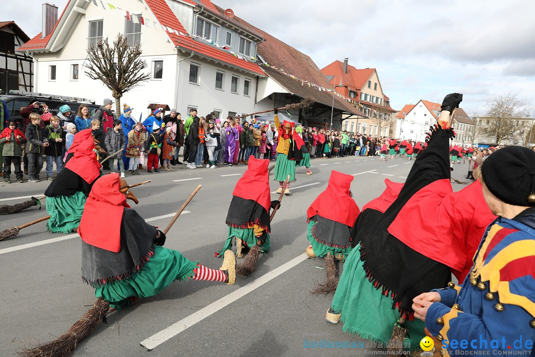 Narrensprung - Fasnetsumzug 2023: Baienfurt, 18.02.2023