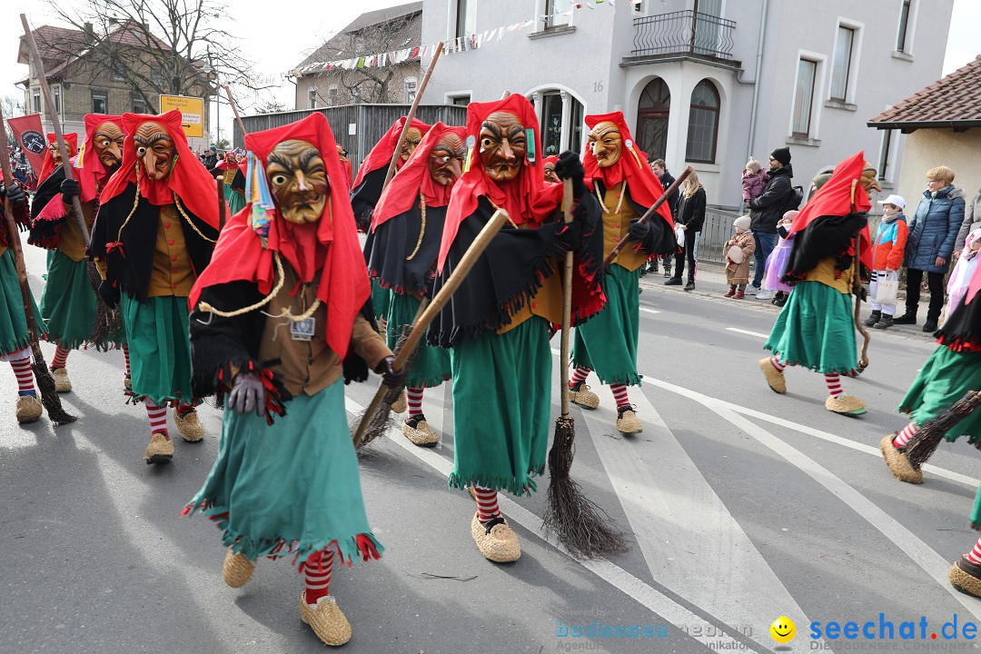 Narrensprung - Fasnetsumzug 2023: Baienfurt, 18.02.2023