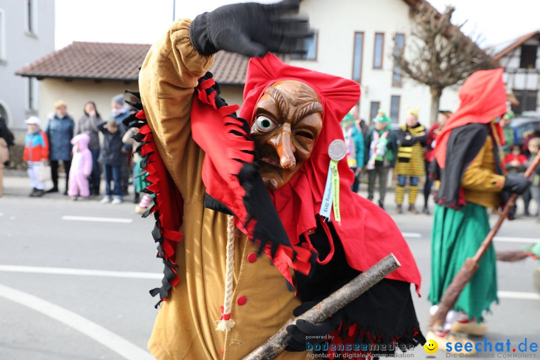 Narrensprung - Fasnetsumzug 2023: Baienfurt, 18.02.2023