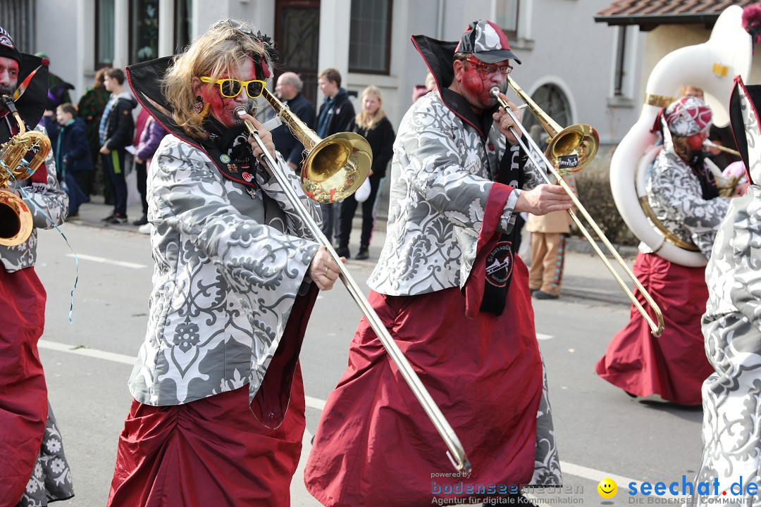 Narrensprung - Fasnetsumzug 2023: Baienfurt, 18.02.2023