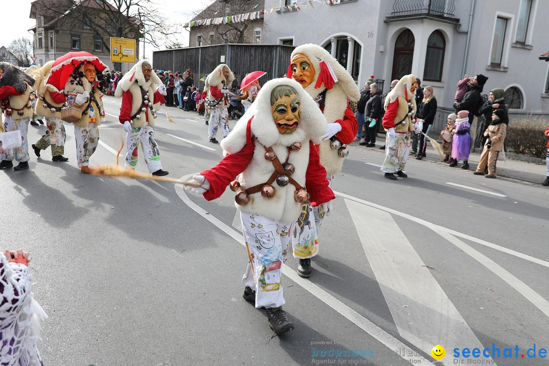 Narrensprung - Fasnetsumzug 2023: Baienfurt, 18.02.2023