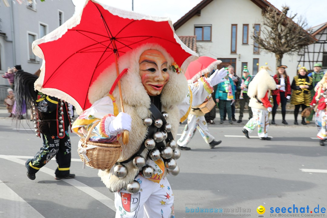 Narrensprung - Fasnetsumzug 2023: Baienfurt, 18.02.2023