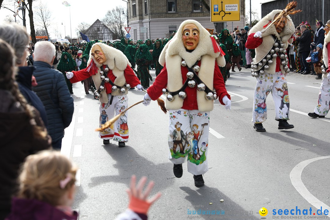 Narrensprung - Fasnetsumzug 2023: Baienfurt, 18.02.2023