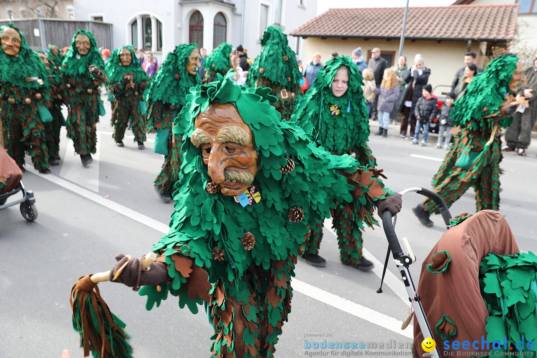 Narrensprung - Fasnetsumzug 2023: Baienfurt, 18.02.2023