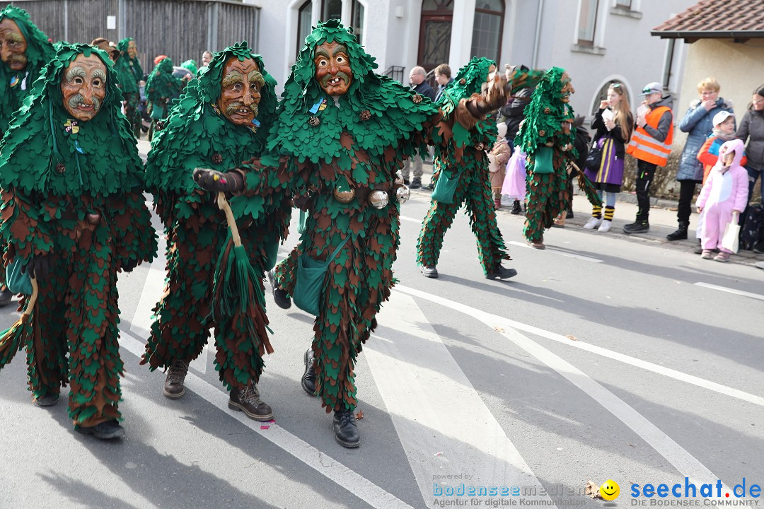 Narrensprung - Fasnetsumzug 2023: Baienfurt, 18.02.2023