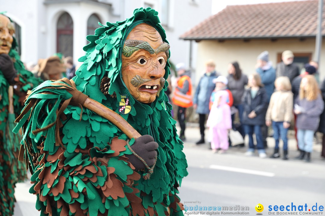 Narrensprung - Fasnetsumzug 2023: Baienfurt, 18.02.2023