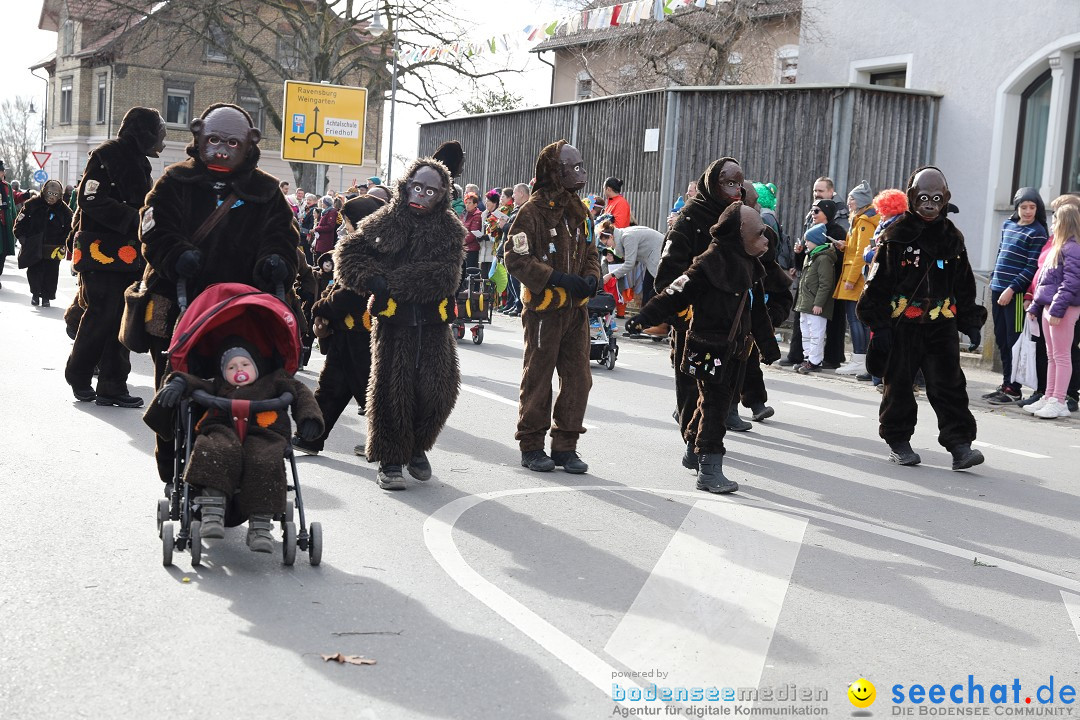 Narrensprung - Fasnetsumzug 2023: Baienfurt, 18.02.2023