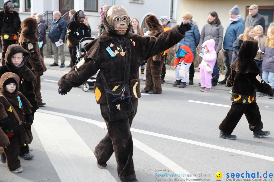 Narrensprung - Fasnetsumzug 2023: Baienfurt, 18.02.2023