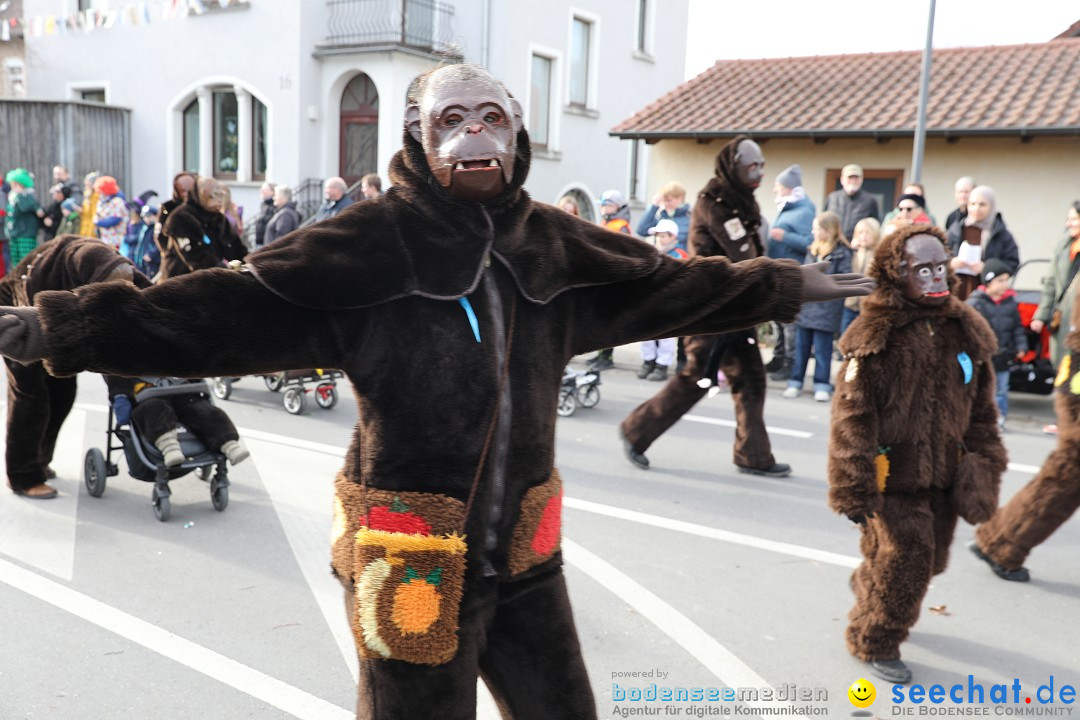 Narrensprung - Fasnetsumzug 2023: Baienfurt, 18.02.2023