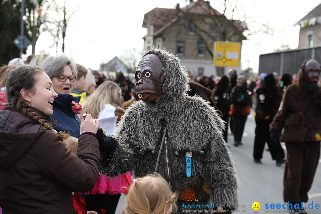 Narrensprung - Fasnetsumzug 2023: Baienfurt, 18.02.2023