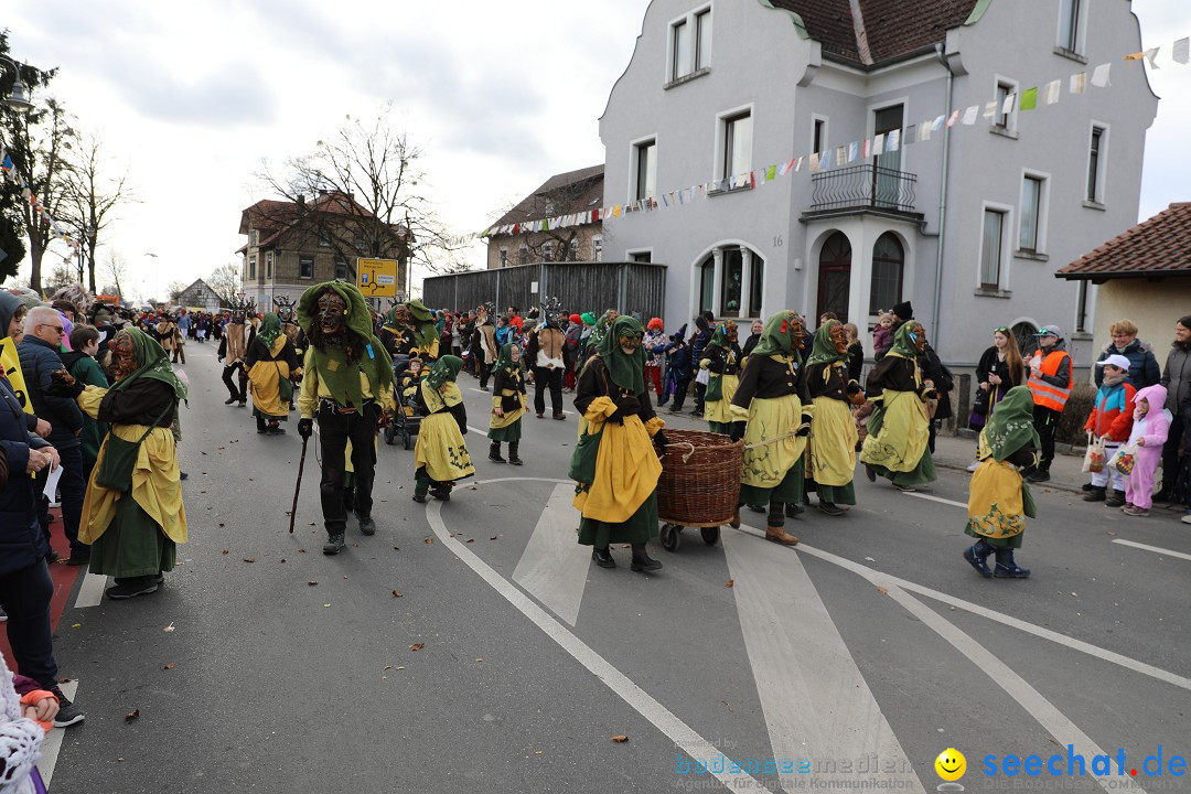 Narrensprung - Fasnetsumzug 2023: Baienfurt, 18.02.2023