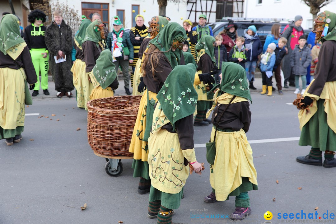 Narrensprung - Fasnetsumzug 2023: Baienfurt, 18.02.2023