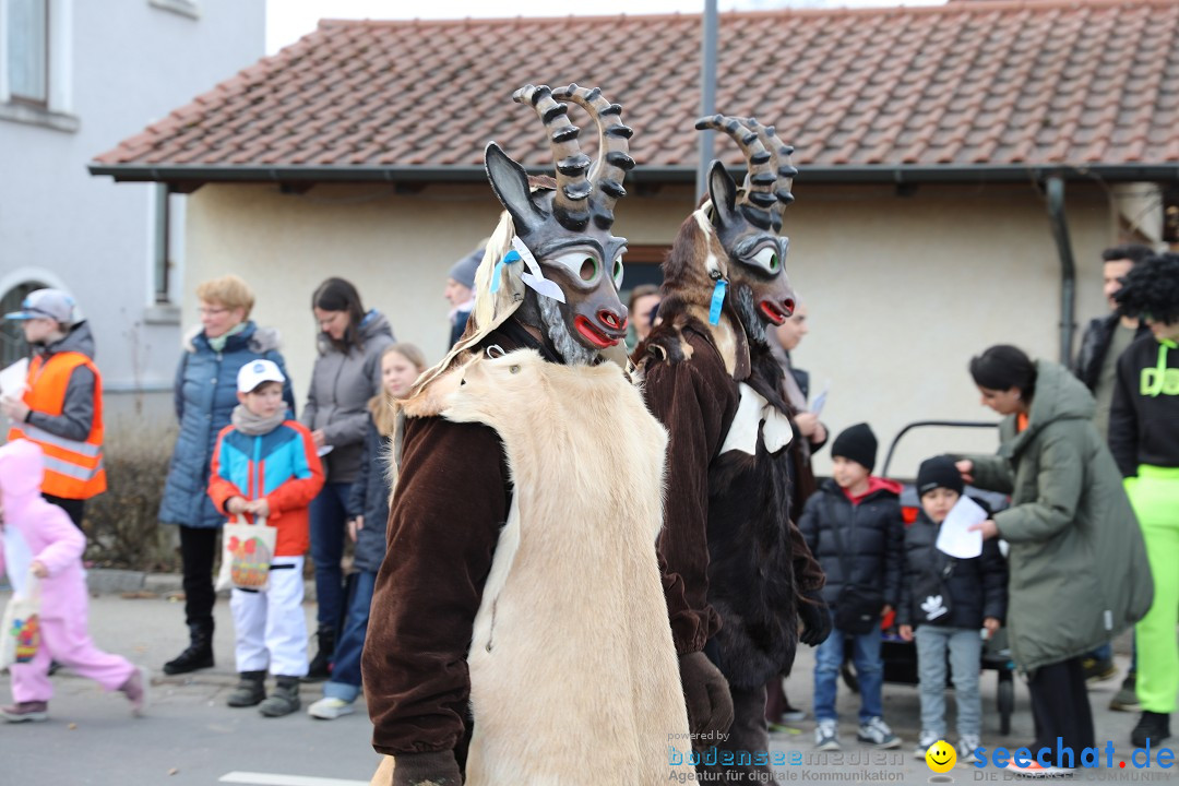 Narrensprung - Fasnetsumzug 2023: Baienfurt, 18.02.2023