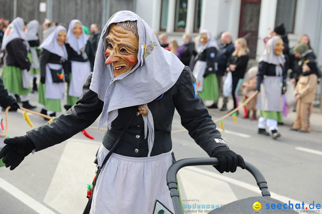 Narrensprung - Fasnetsumzug 2023: Baienfurt, 18.02.2023